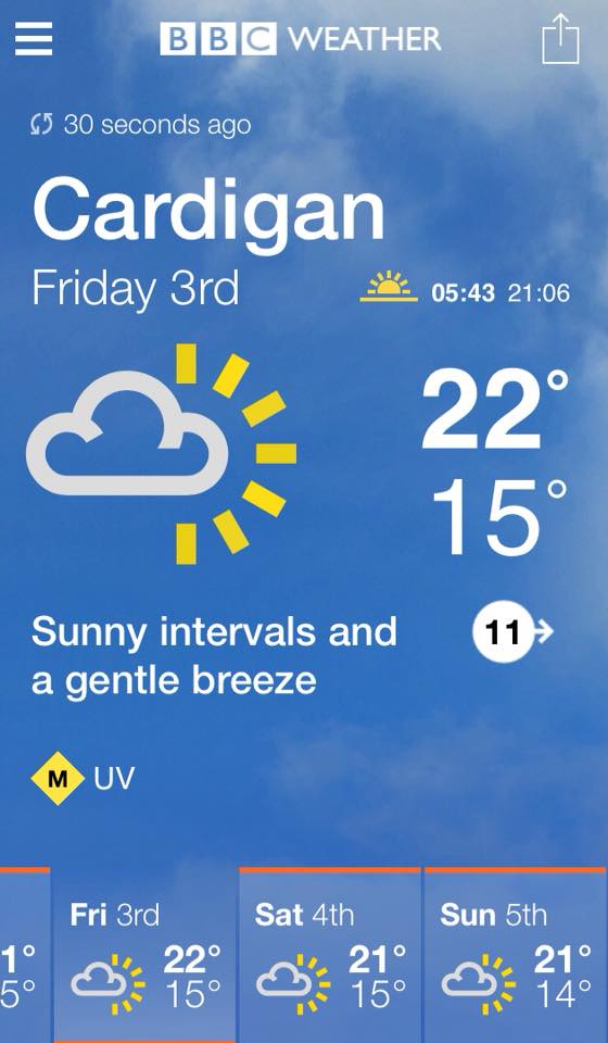 it's always sunny in Cardigan